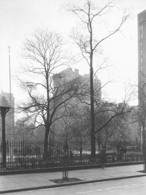 Gramercy Park - Classic Black & White Print On A Wall