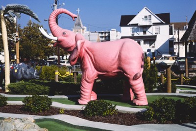 Pink Elephant on Bamboo Golf in Ocean City, Maryland - Classic Black & White Print In The Living Room